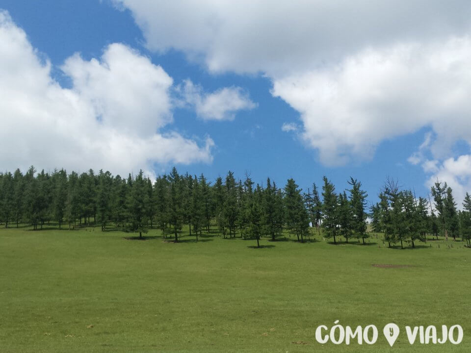 Bosques de Mongolia