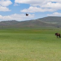 Naturaleza salvaje de conocer Mongolia
