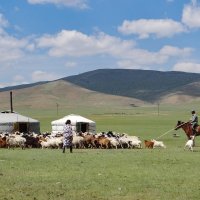 Familia nómade con sus animales en Mongolia