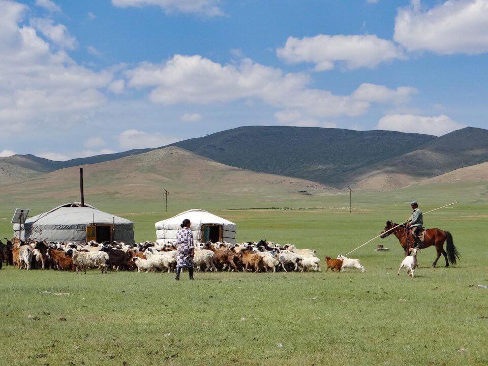 Familia nómade con sus animales en Mongolia