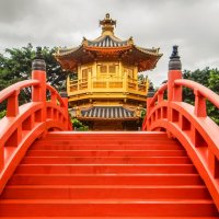 Una de las cosas que hacer en Hong Kong