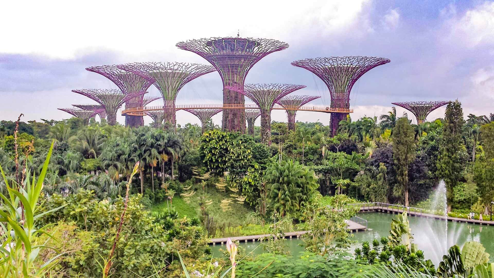 Gardens by the Bay en Singapur en cosas que ver en Singapur