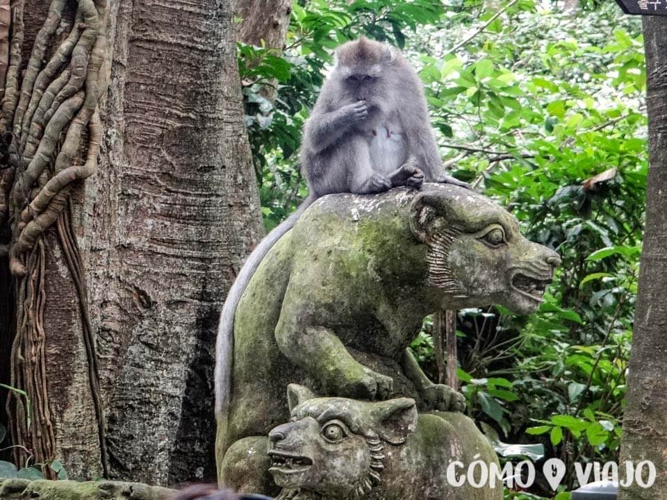 Monkey Forest en Ubud, Bali
